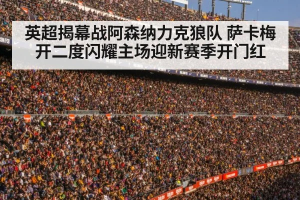 football stadium crowd